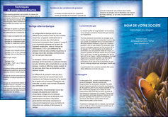 realiser depliant 3 volets  6 pages  paysage belle photo nemo poisson MLGI33447