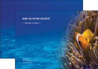 impression flyers paysage belle photo nemo poisson MLGI33449