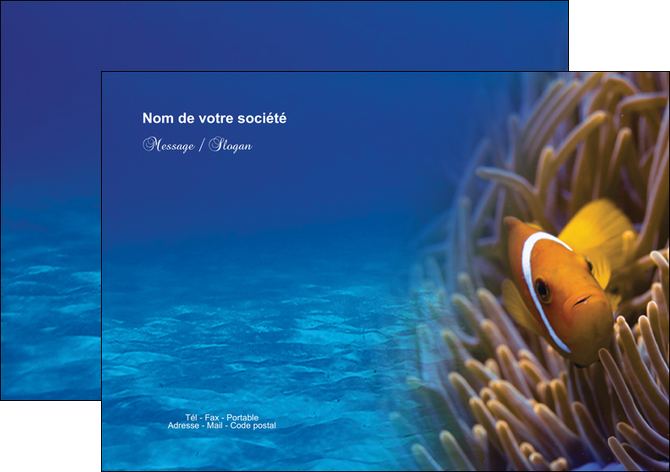 exemple flyers paysage belle photo nemo poisson MIDBE33451