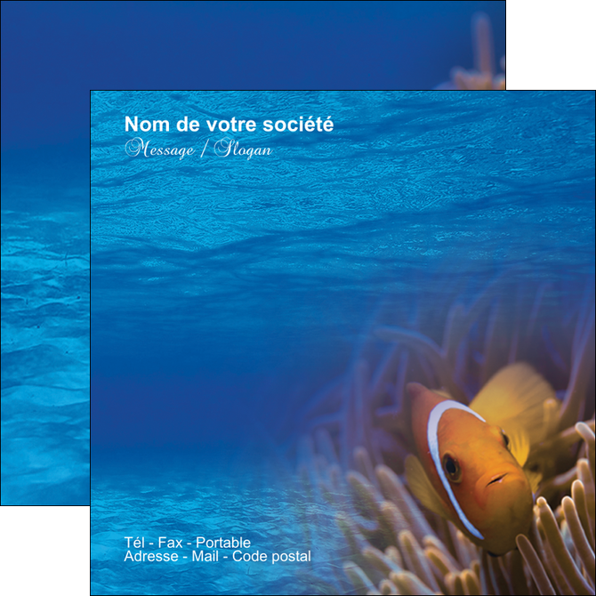 exemple flyers paysage belle photo nemo poisson MIDBE33473