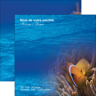 exemple flyers paysage belle photo nemo poisson MLGI33473
