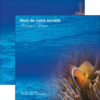 faire flyers paysage belle photo nemo poisson MLGI33475