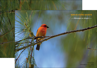 faire affiche paysage nature parc naturel animaux parc naturel des oiseaux MLGI34259
