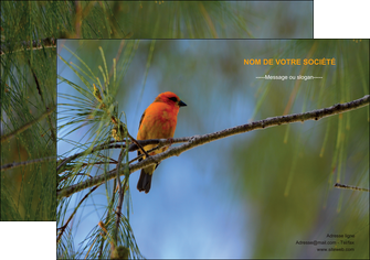 faire affiche paysage nature parc naturel animaux parc naturel des oiseaux MLGI34265