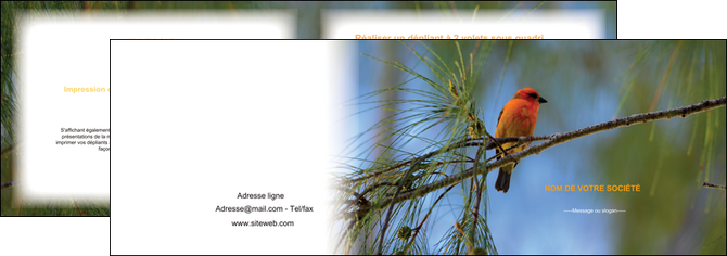 creation graphique en ligne depliant 2 volets  4 pages  paysage nature parc naturel animaux parc naturel des oiseaux MIDBE34271