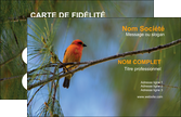 modele carte de visite paysage nature parc naturel animaux parc naturel des oiseaux MLGI34279