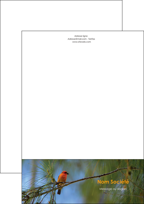 realiser tete de lettre paysage nature parc naturel animaux parc naturel des oiseaux MIDBE34283
