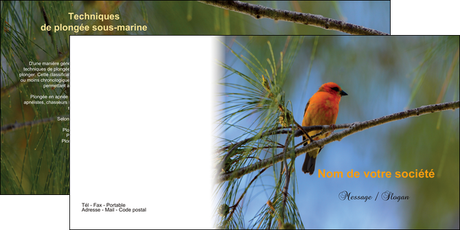 impression depliant 2 volets  4 pages  paysage nature parc naturel animaux parc naturel des oiseaux MIDBE34287