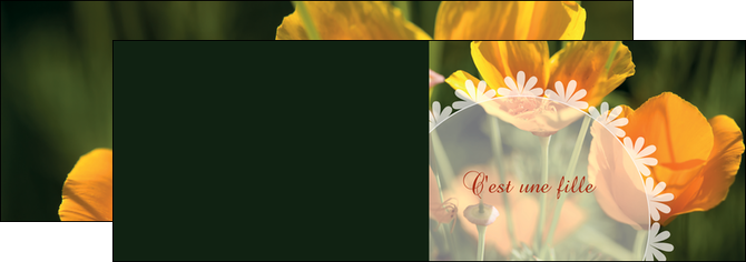 exemple depliant 2 volets  4 pages  faire part de naissance carte de naissance carte pour naissance MIDBE34401
