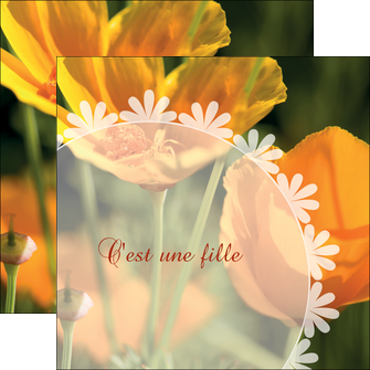 creation graphique en ligne flyers faire part de naissance carte de naissance carte pour naissance MIDBE34403