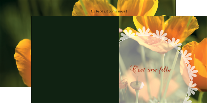 imprimer depliant 2 volets  4 pages  faire part de naissance carte de naissance carte pour naissance MIDBE34405
