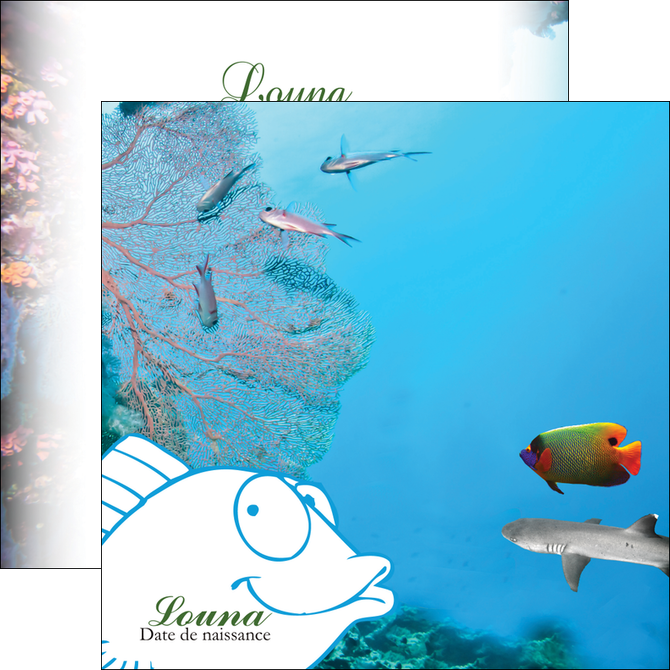 cree flyers chasse et peche plongeur corail poissons MIDBE34433