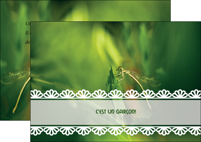 creer modele en ligne flyers faire part de naissance carte pour naissance feuilles MIDBE34459