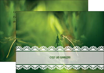 creer modele en ligne flyers faire part de naissance carte pour naissance feuilles MIDBE34459