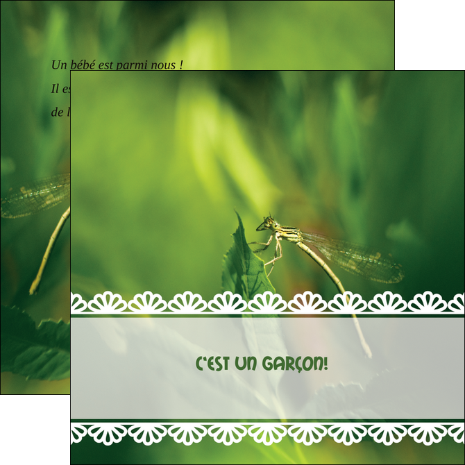 realiser flyers faire part de naissance carte pour naissance feuilles MIDBE34463