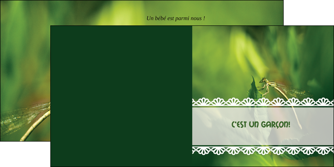 imprimerie depliant 2 volets  4 pages  faire part de naissance carte pour naissance feuilles MIDBE34465