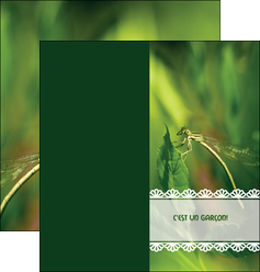 creation graphique en ligne depliant 2 volets  4 pages  faire part de naissance carte pour naissance feuilles MIDBE34467