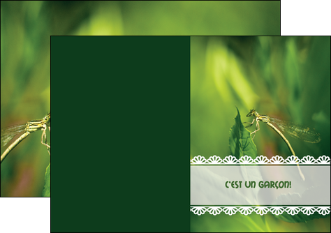 creer modele en ligne depliant 2 volets  4 pages  faire part de naissance carte pour naissance feuilles MIDBE34471