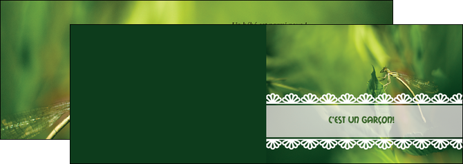 modele depliant 2 volets  4 pages  faire part de naissance carte pour naissance feuilles MIDBE34473