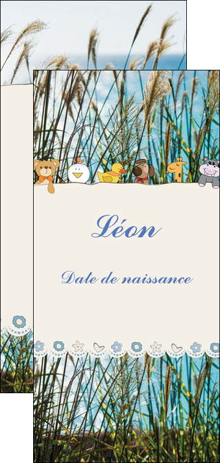 personnaliser modele de flyers faire part de naissance carte de naissance carton invitation naissance MIDBE34827