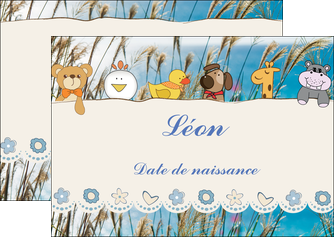 exemple flyers faire part de naissance carte de naissance carton invitation naissance MIDBE34833