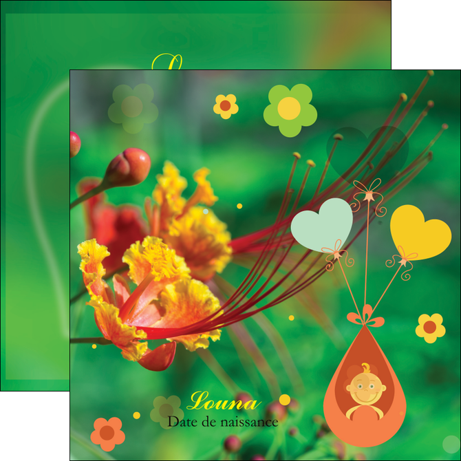 cree flyers fleur naissance nature MIDBE34951