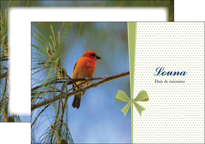 faire modele a imprimer flyers oiseau nature arbre MIDBE36343
