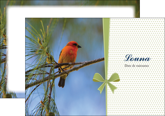 faire modele a imprimer flyers oiseau nature arbre MIF36343