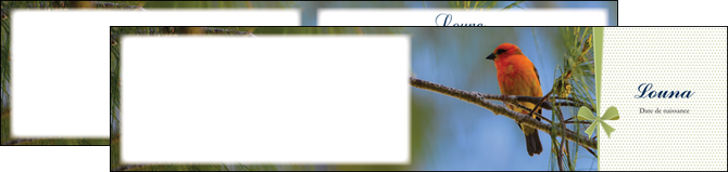 exemple depliant 2 volets  4 pages  oiseau nature arbre MIDBE36347