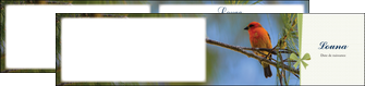 exemple depliant 2 volets  4 pages  oiseau nature arbre MIF36347