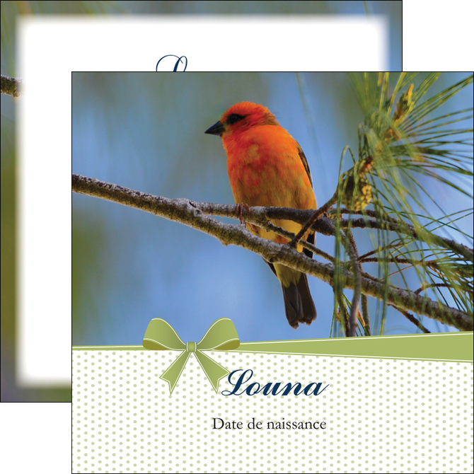 personnaliser modele de flyers oiseau nature arbre MIDBE36349