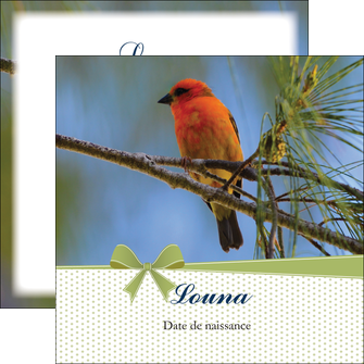 Impression Faire part  Faire Part de naissance papier à prix discount et format Flyers Carré 12 x 12 cm