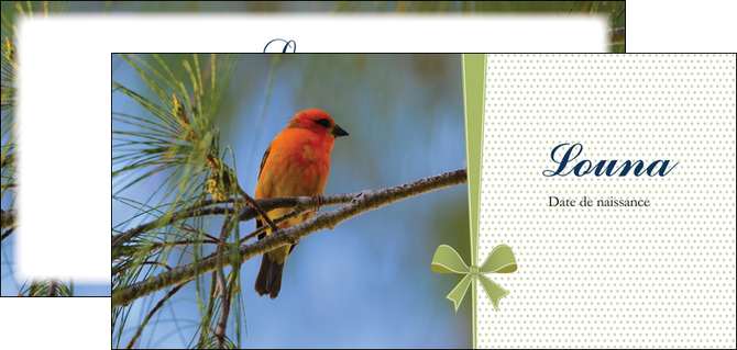imprimer flyers oiseau nature arbre MIDBE36351