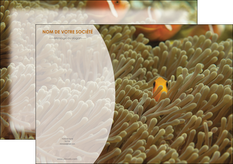 personnaliser modele de affiche animal nemo macro original MIDBE36425