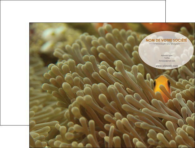 impression pochette a rabat animal nemo macro original MIDBE36427