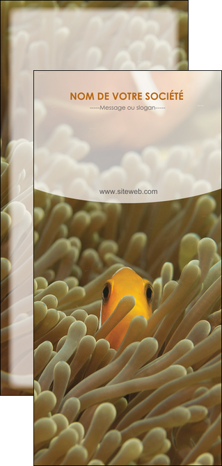 impression flyers animal nemo macro original MIDBE36443