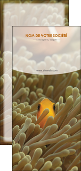impression flyers animal nemo macro original MIDBE36443
