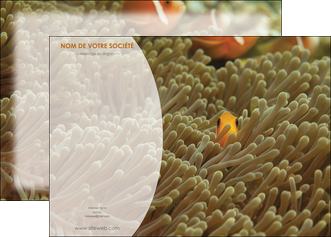 personnaliser maquette affiche animal nemo macro original MIDBE36445