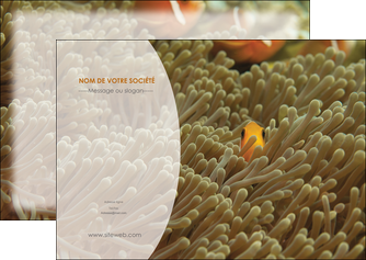 cree flyers animal nemo macro original MIDBE36449