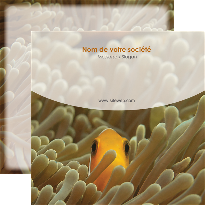 modele en ligne flyers animal nemo macro original MIDBE36455