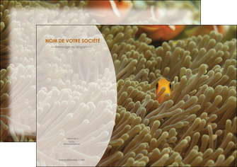 realiser flyers animal nemo macro original MIDBE36457