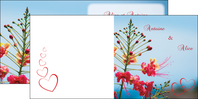 cree depliant 2 volets  4 pages  fleur heureux ciel bleu MLIG36773