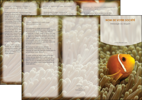 impression depliant 3 volets  6 pages  paysage belle photo nemo poisson MIDBE36845