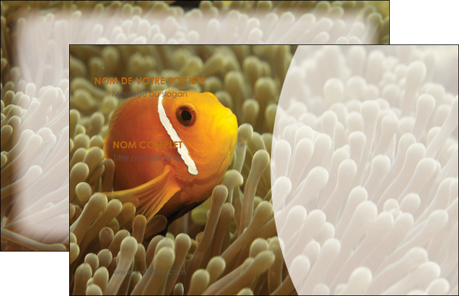 creer modele en ligne carte de visite paysage belle photo nemo poisson MIDBE36847