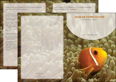 creation graphique en ligne depliant 2 volets  4 pages  paysage belle photo nemo poisson MIDBE36873