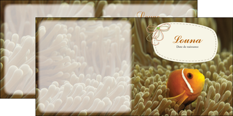 realiser depliant 2 volets  4 pages  nemo drole humoristique MIF36897