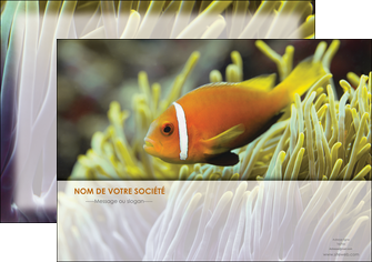 exemple affiche animal originale belle photo idee MIDBE37469