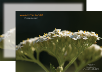 exemple flyers fleuriste et jardinage plantes cactus fleurs MLGI37655
