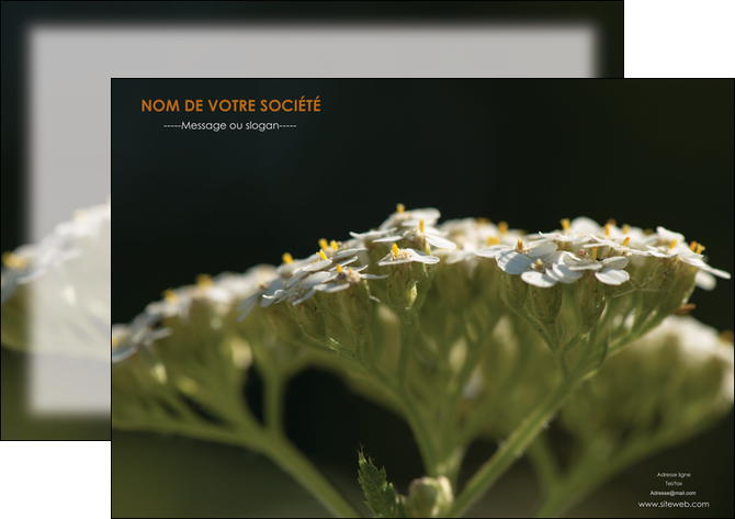 imprimerie affiche fleuriste et jardinage plantes cactus fleurs MLGI37681