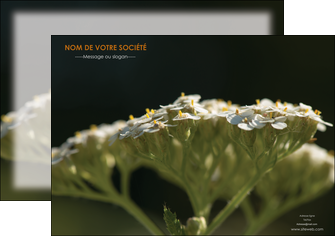 imprimerie affiche fleuriste et jardinage plantes cactus fleurs MLGI37681